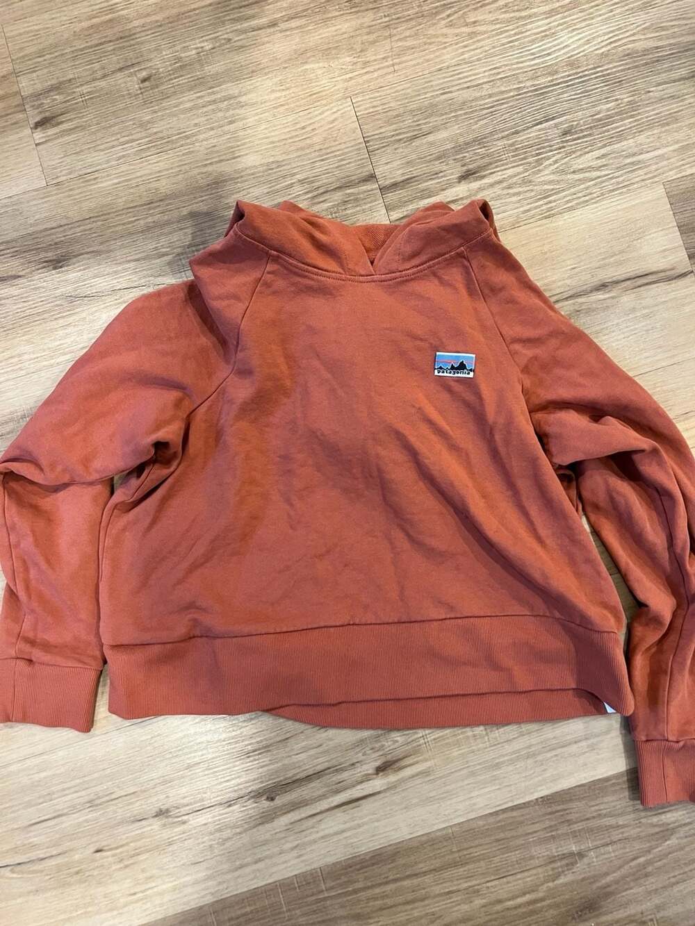 Patagonia Women's XS Regenerative Organic Certified Cotton Essential Hoody Rust